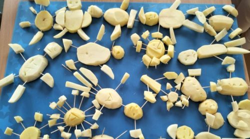 Zajęcia dydaktyczne - ziemniak w róznych postaciach - październik 2025 r